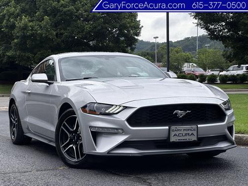 Magnetic Metallic [Gray] 2019 Ford Mustang EcoBoost