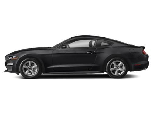 Magnetic Metallic [Gray] 2019 Ford Mustang EcoBoost