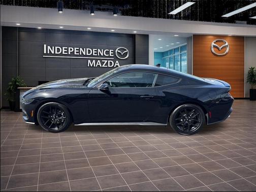 Shadow Black 2025 Ford Mustang EcoBoost