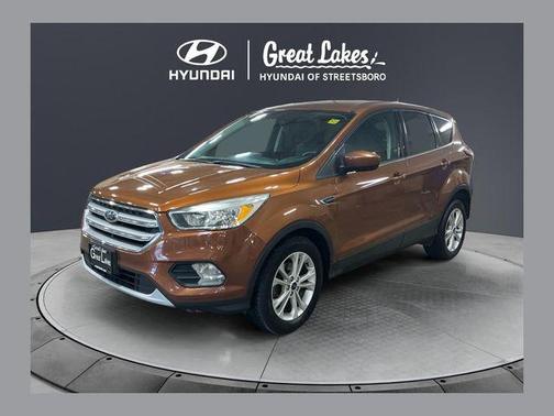 CANYON RIDGE METALLIC 2017 Ford Escape SE