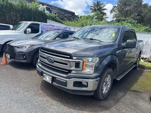 Stone Gray Metallic 2019 Ford F-150 XLT