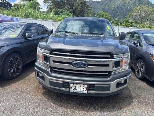 Stone Gray Metallic 2019 Ford F-150 XLT