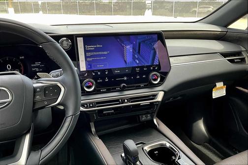 2025 Lexus RX 350 Luxury