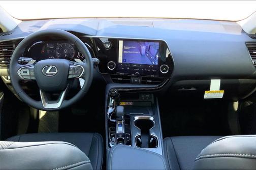 2025 Lexus NX 250 Premium