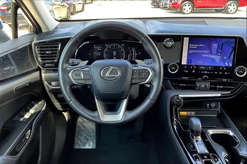 2025 Lexus NX 250 Premium