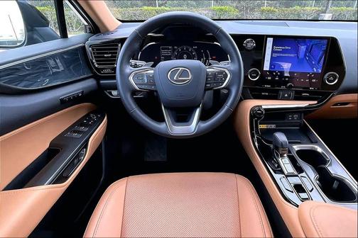 2025 Lexus NX 250 Premium