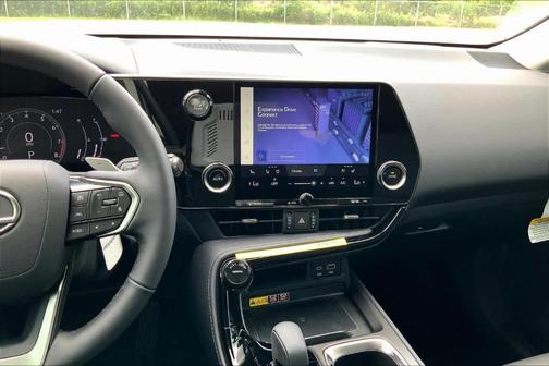 2025 Lexus NX 250 Premium