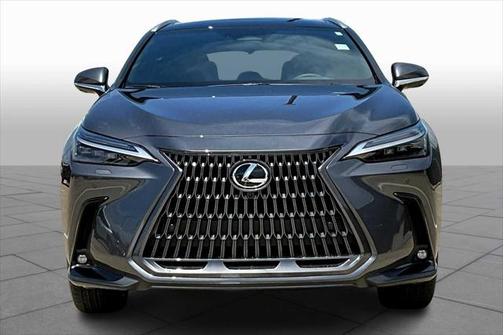 2025 Lexus NX 350 Luxury