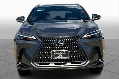 2025 Lexus NX 250 Premium