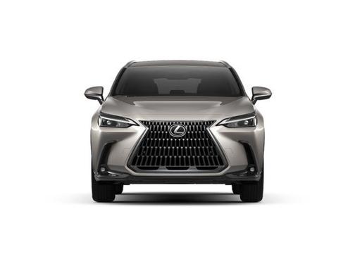 2025 Lexus NX 250 Base
