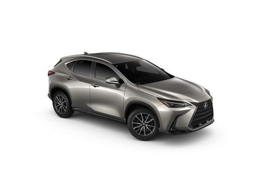 2025 Lexus NX 250 Base