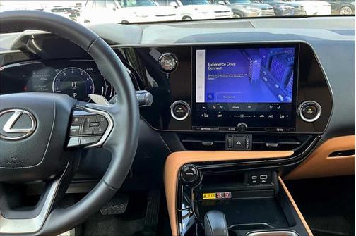 2025 Lexus NX 250 Premium