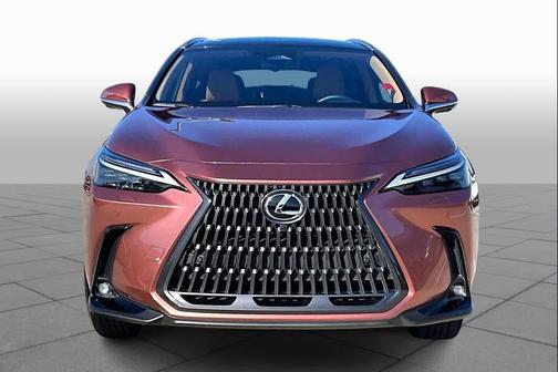 2025 Lexus NX 350h Luxury