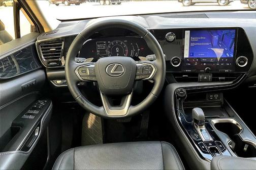 2024 Lexus NX 250 Premium