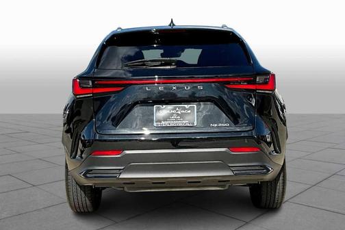 2024 Lexus NX 250 Premium
