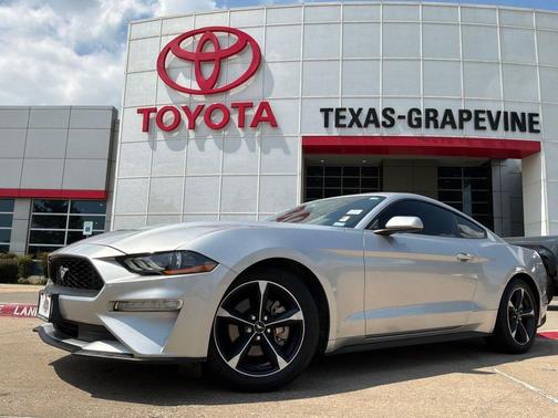 Ingot Silver Metallic 2019 Ford Mustang EcoBoost