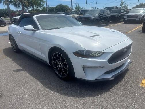 Oxford White 2019 Ford Mustang EcoBoost Premium