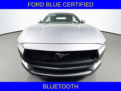 Silver Metallic 2025 Ford Mustang EcoBoost Premium