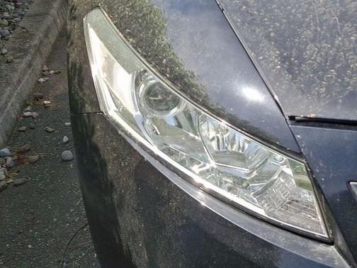 2010 Honda Accord EX-L