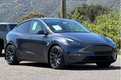 2024 Tesla Model Y Performance Dual Motor All-Wheel Drive