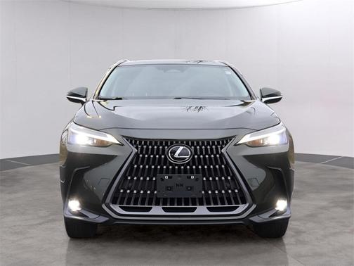 2024 Lexus NX 250 Premium