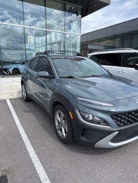 Cactus Fern 2022 Hyundai KONA SEL