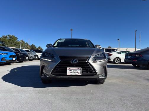Nebula Gray Pearl 2021 Lexus NX 300 Base