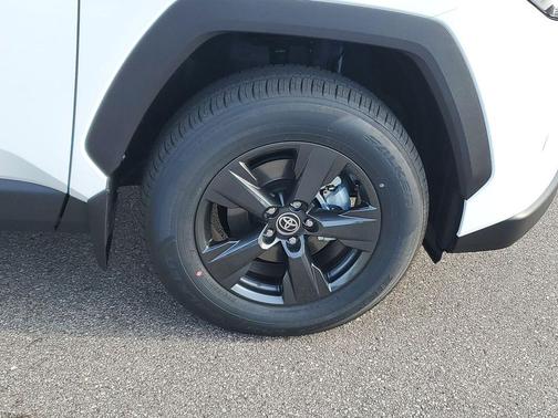 Ice 2026 Toyota RAV4 LE