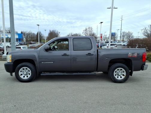2010 Chevrolet Silverado 1500 Work Truck