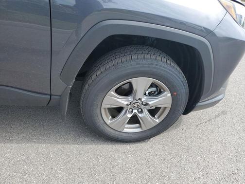 Magnetic Gray Metallic 2025 Toyota RAV4 XLE