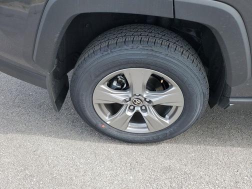 Magnetic Gray Metallic 2025 Toyota RAV4 XLE