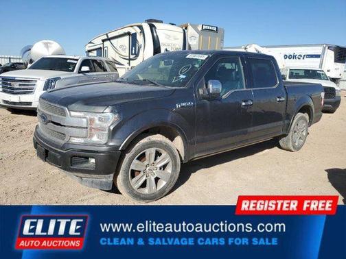2019 Ford F-150 Platinum