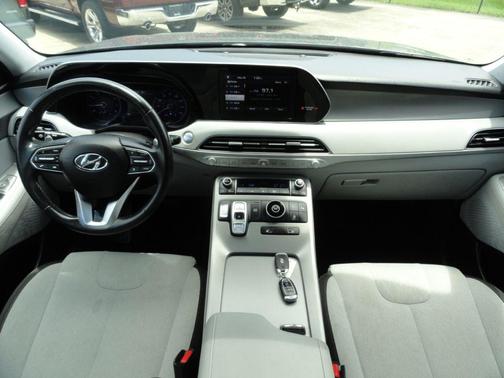 Rainforest 2020 Hyundai PALISADE SEL