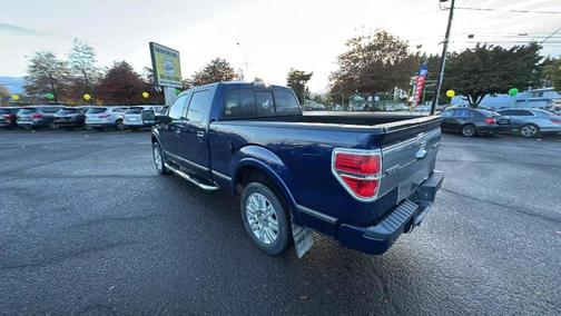 2009 Ford F-150 Platinum