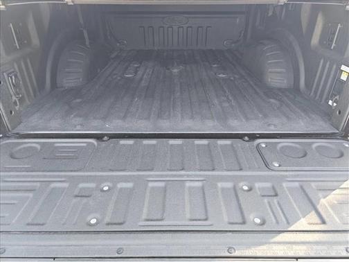 2024 Ford F-250 Platinum