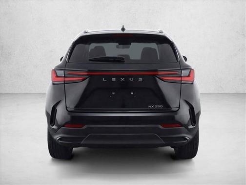 2025 Lexus NX 250 Premium