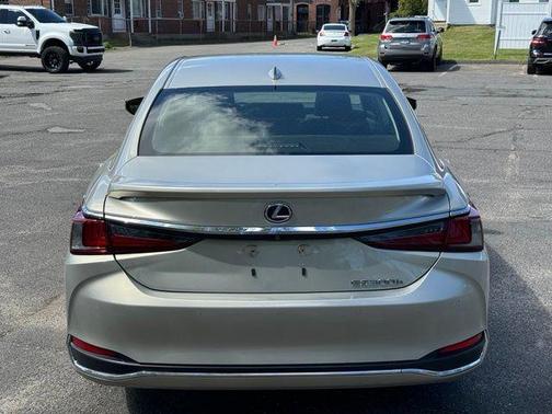 Beige Metallic 2019 Lexus ES 300h 300H