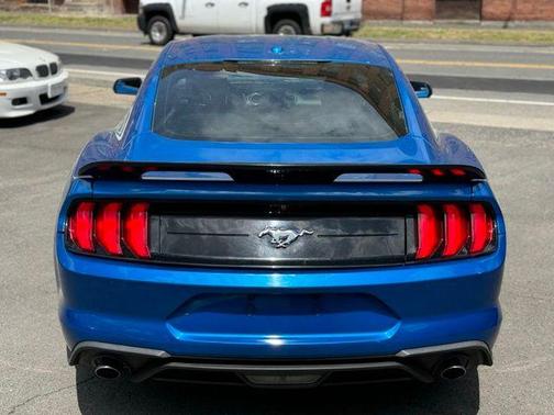 Blue Metallic 2019 Ford Mustang EcoBoost