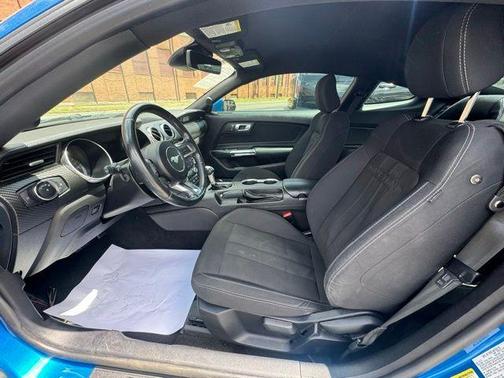 Blue Metallic 2019 Ford Mustang EcoBoost