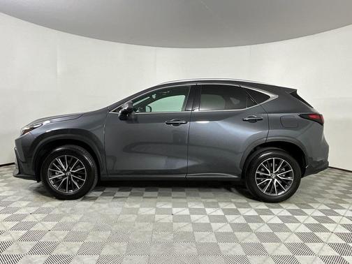 2024 Lexus NX 250 Premium