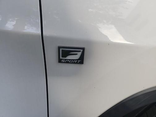 2019 Lexus RX 350 F Sport