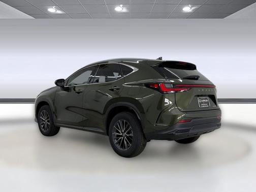 Nori Green Pearl 2024 Lexus NX 250 Premium