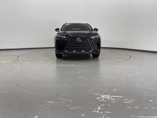2025 Lexus NX 250 Base