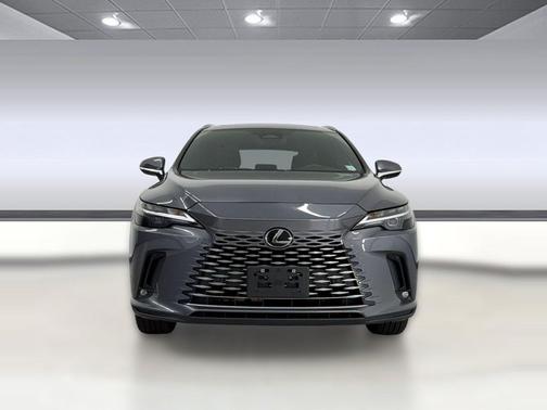 Nebula Gray Pearl 2023 Lexus RX 350 Premium