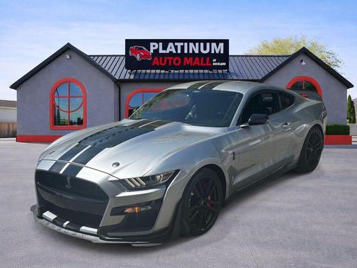 Iconic Silver Metallic 2021 Ford Shelby GT500 Base