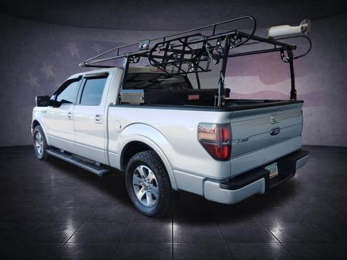 Ingot Silver 2013 Ford F-150 FX2