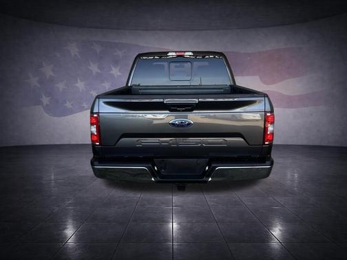 Magnetic 2019 Ford F-150 Lariat