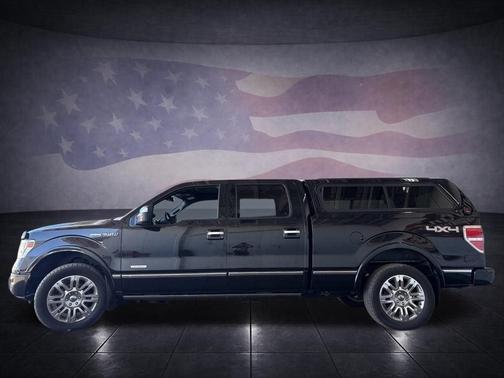 Tuxedo Black 2013 Ford F-150 Platinum
