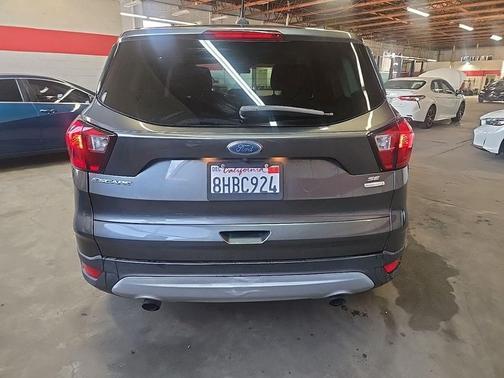 Magnetic 2019 Ford Escape SE