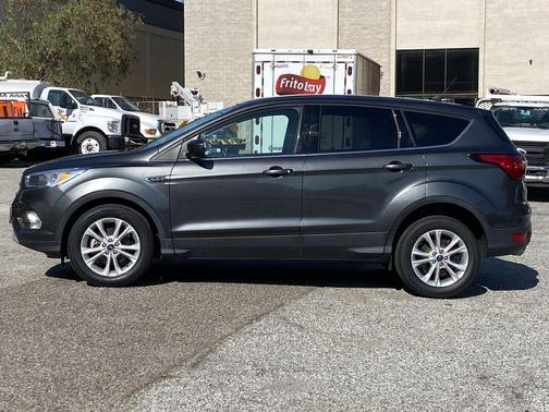 Magnetic 2019 Ford Escape SE
